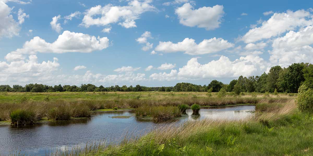 Friesland · © Romano Amend Friesland · © Romano Amend